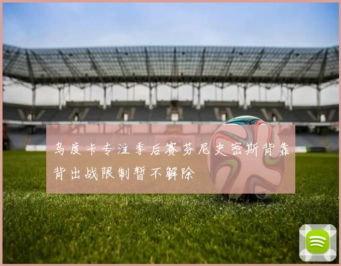 乌度卡专注季后赛芬尼史密斯背靠背出战限制暂不解除
